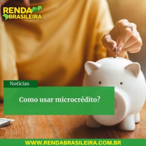 Como usar microcrédito
