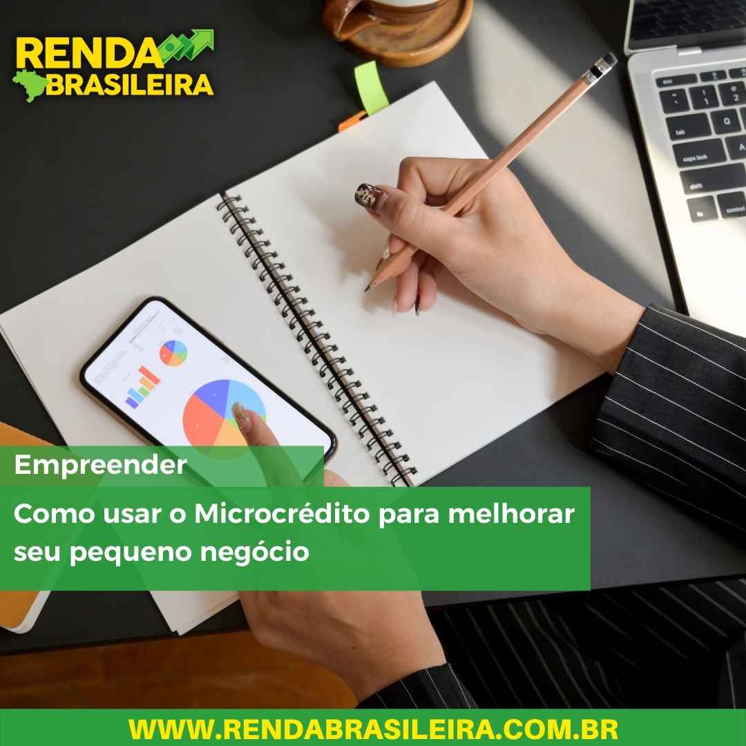 Como usar o Microcrédito para melhorar seu pequeno negócio